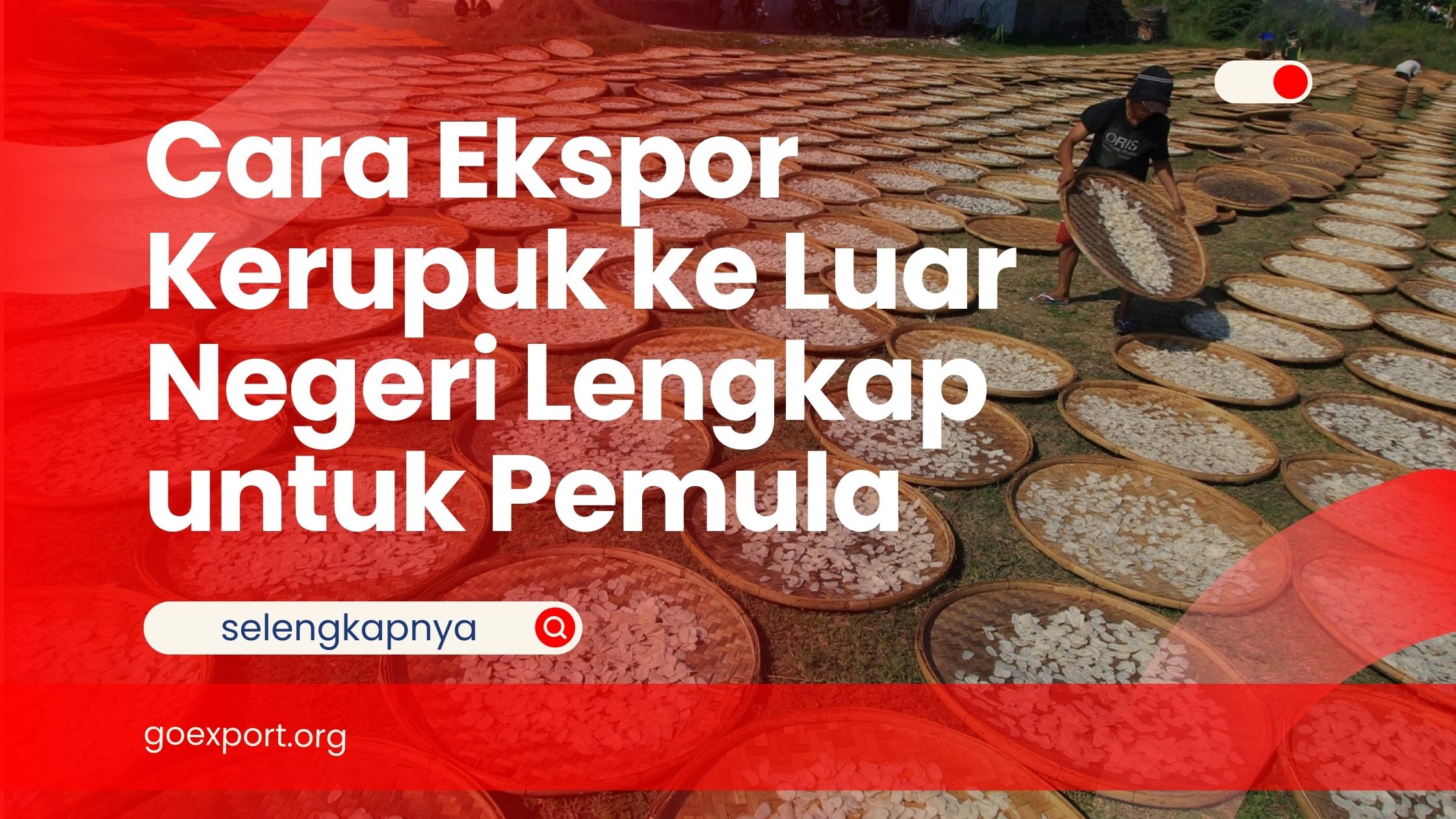 Cara Ekspor Kerupuk ke Luar Negeri Lengkap untuk Pemula