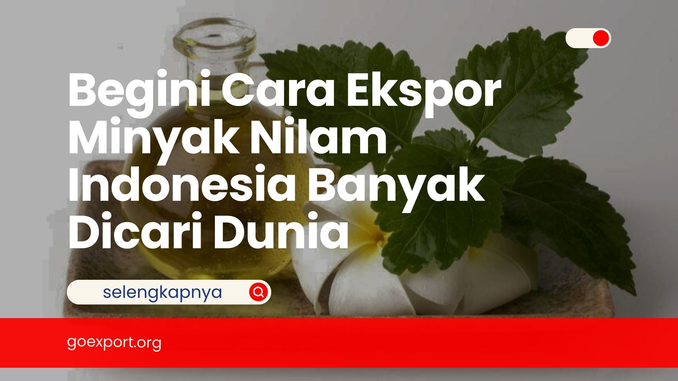 Begini Cara Ekspor Minyak Nilam Indonesia Banyak Dicari Dunia