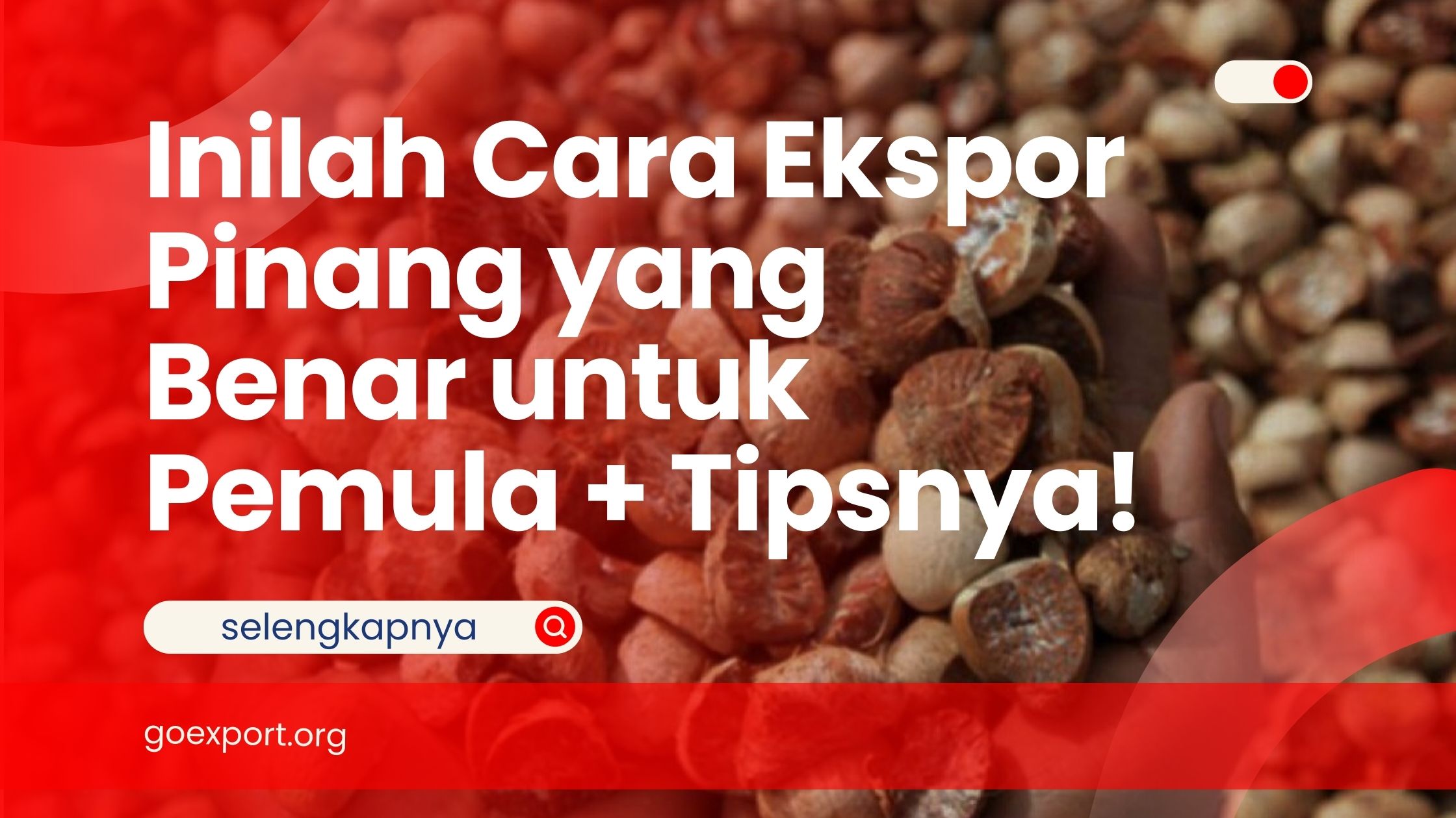 Inilah Cara Ekspor Pinang yang Benar untuk Pemula + Tipsnya!