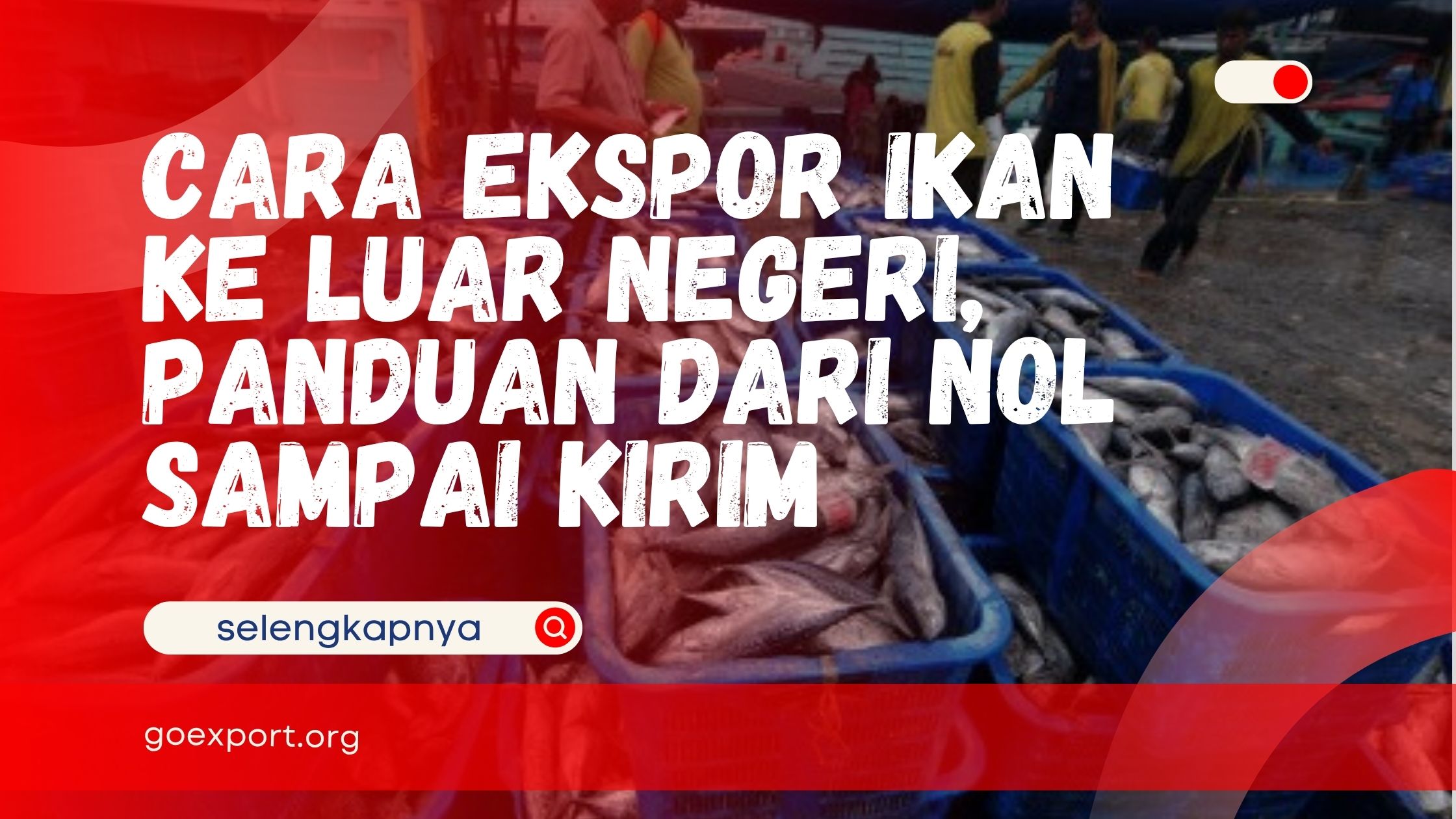 Cara Ekspor Ikan ke Luar Negeri, Panduan dari Nol Sampai Kirim