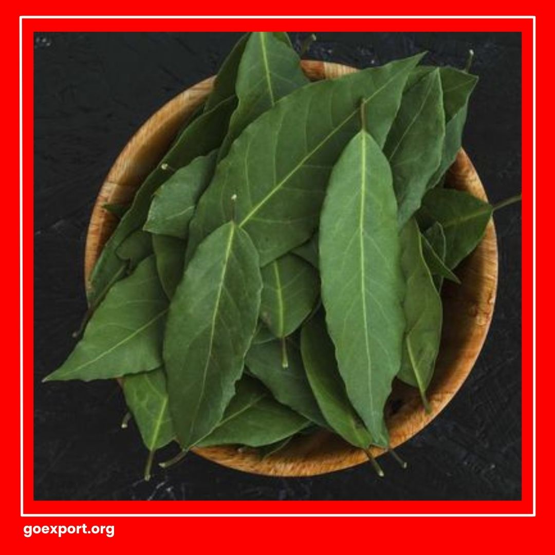 Cara Ekspor Daun Salam Kering