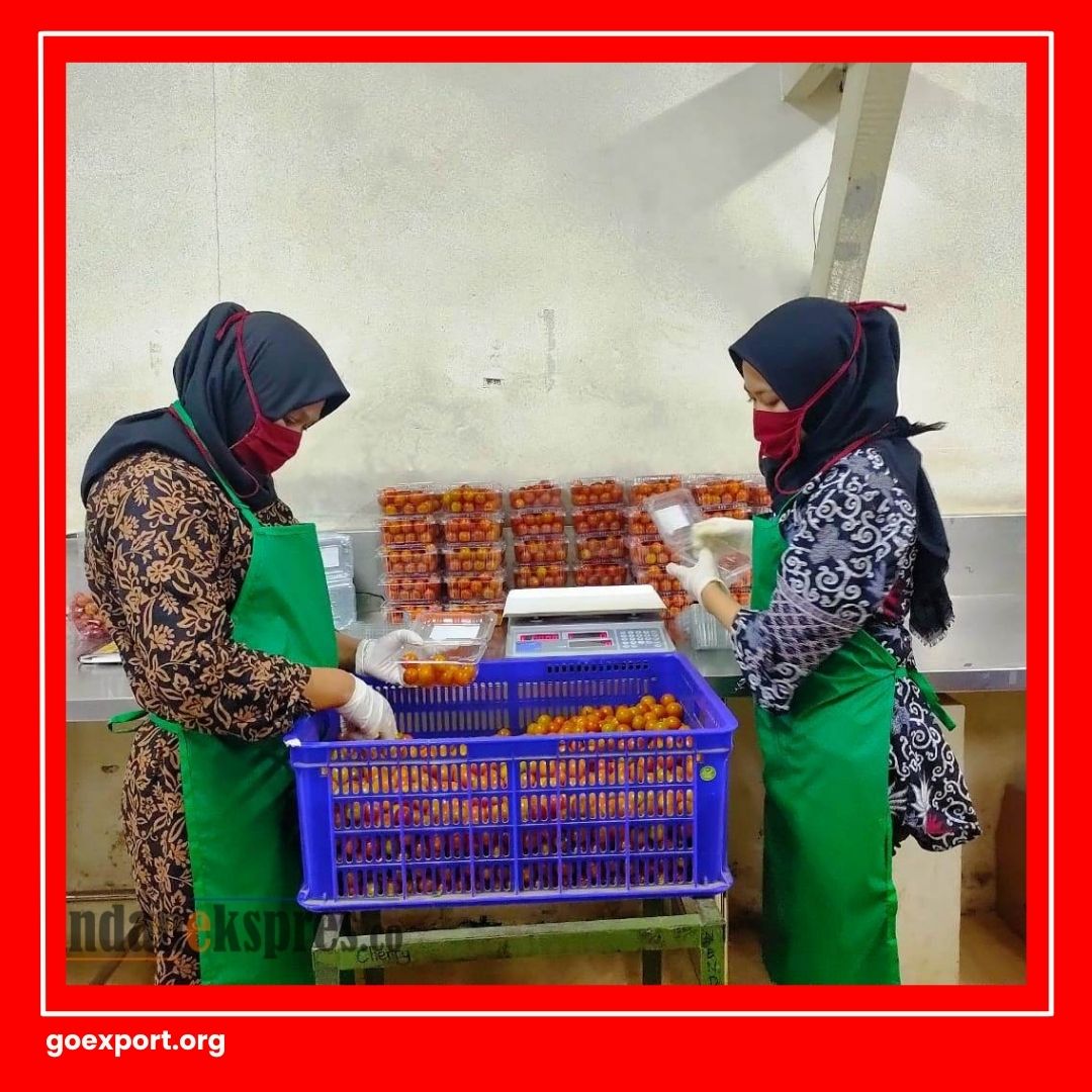 Cara Packing Sayuran untuk Ekspor
